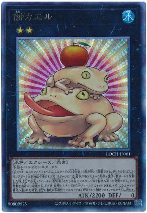 画像1: 餅カエル【アル】