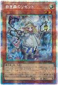 白き森のリゼット【プリシク】