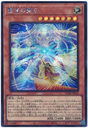 画像1: 繋星の雷后【シク】