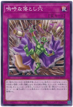 画像1: 嗚呼な落とし穴【 ノー】