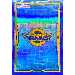 画像1: 『LINKVRAINSBOXスペシャルプロテクターVRAINSロゴ』60枚入り）