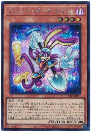 画像1: ファニー・ダーク・ラビット 　[シク]