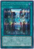 ウィッチクラフト・バイストリート　[シク]