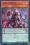 暗翳の信仰者【スー】