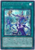 呼応する伝説の都【シク】