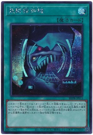 画像1: 魚群探知機【シク】