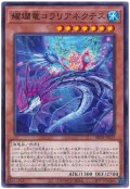 耀爛竜コラリアネクテス【ノー】