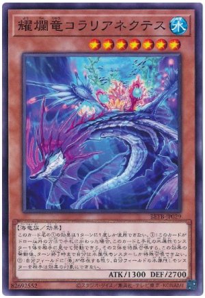 画像1: 耀爛竜コラリアネクテス【ノー】