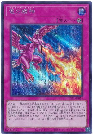 画像1: 竜の精神【シク】