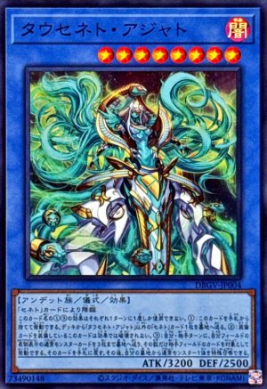画像1: タウセネト・アジャト【スーパー】