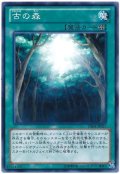 古の森（Bランク）