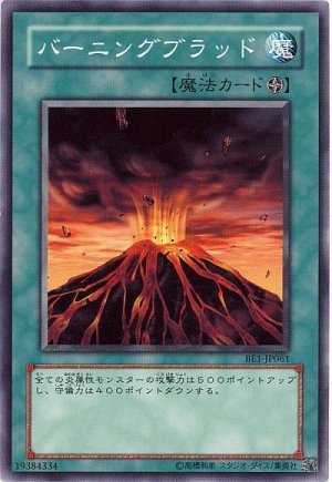 画像1: バーニングブラッド（Ｂランク）