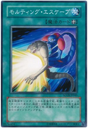 画像1: モルティング・エスケープ（Bランク）