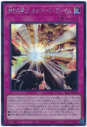 画像1: 怒りの業火 エクゾード・フレイム【シク】