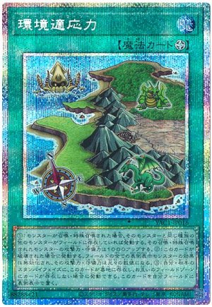 画像1: 環境適応力【プリシク】