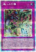 魂への引導【プリシク】