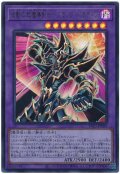 波動の超魔導剣士－ブラック・パラディン【ウル】