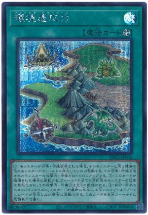 画像1: 環境適応力【シク】
