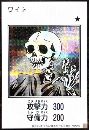 画像1: ワイト（モノクロ）【シク】