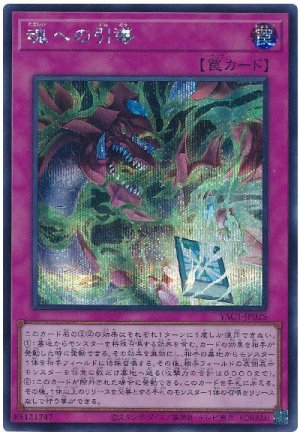 画像1: 魂への引導【シク】