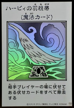 画像1: ハーピィの羽根帚（モノクロ）【ウル】