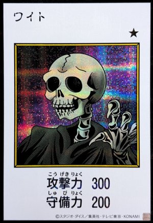 画像1: ワイト（カラー）【シク】
