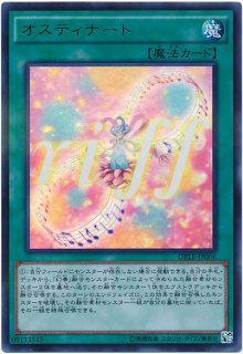 ディメンションボックス‐リミテッドエディション - カード