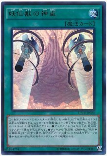 ディメンションボックス‐リミテッドエディション【DBLE】 - カード