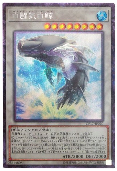 画像1: 【コレクターズ】　白闘気白鯨 (1)