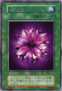 遊戯王 初期カード - カードショップ トレンドトレード (Page 5)