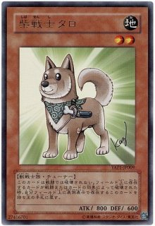 アニバーサリーパック【YAP1】 - カードショップ トレンドトレード