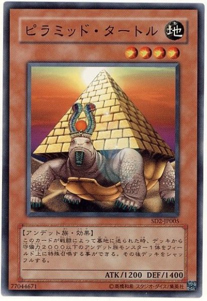 画像1: ピラミッド・タートル【ノー】 (1)