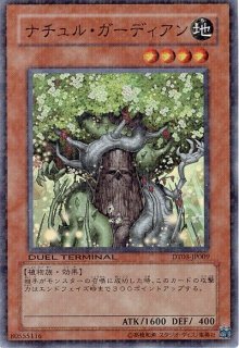 各種遊戯王デッキテーマパーツ - 遊戯王カード 検索ならカード