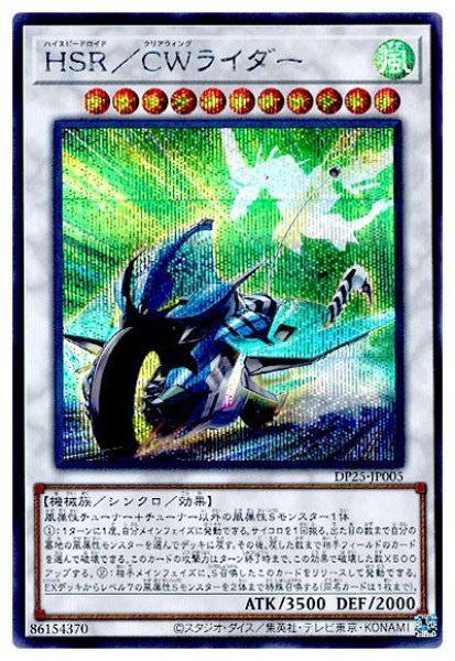 画像1: HSR/CWライダー【シク】 (1)