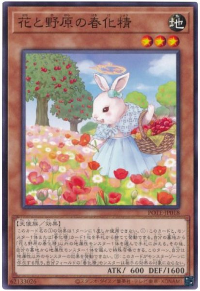 画像1: 花と野原の春化精【ノー】 (1)