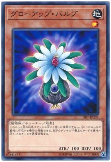 スペシャルパック20th 未開封3パック SPECIAL PACK 20th ANNIVERSARY EDITION Vol.3【18SP】 - カード