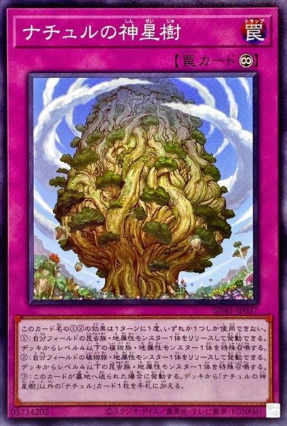 画像1: ナチュルの神星樹【ノー】 (1)