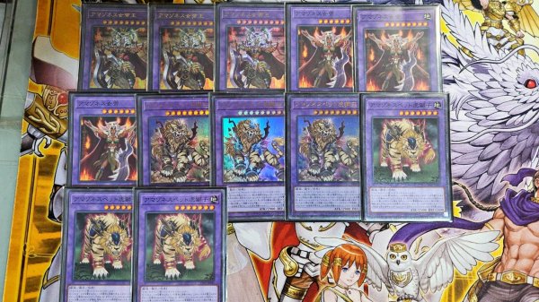 画像3: アマゾネスデッキ【管理番号001】 (3)