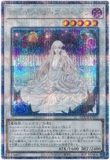 ガーデン・ローズ・メイデン【QCシク】 - カードショップ トレンドトレード