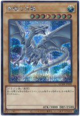 青眼の白龍【シク】 - カードショップ トレンドトレード