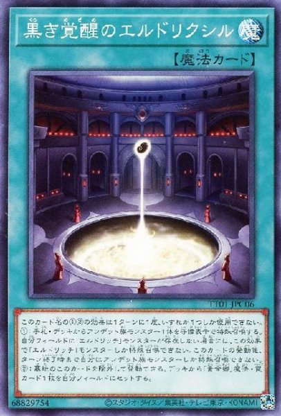 画像1: 黒き覚醒のエルドリクシル【ノー】 (1)