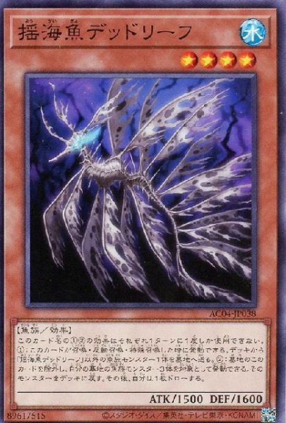 画像1: 揺海魚デッドリーフ【ノー】 (1)
