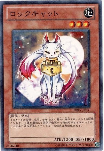 画像1: ロックキャット（Bランク） (1)