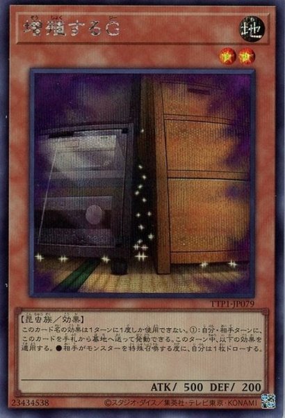 画像1: 増殖するG【シク】 (1)