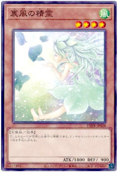 画像1: 裏風の精霊【ノー】 (1)