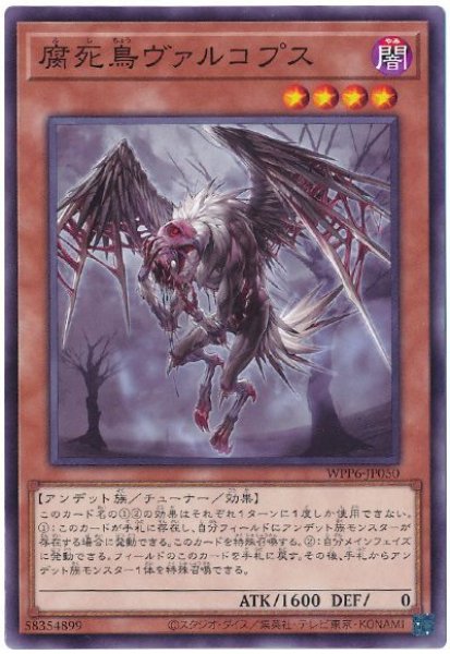 画像1: 腐死鳥ヴァルコプス【ノー】 (1)