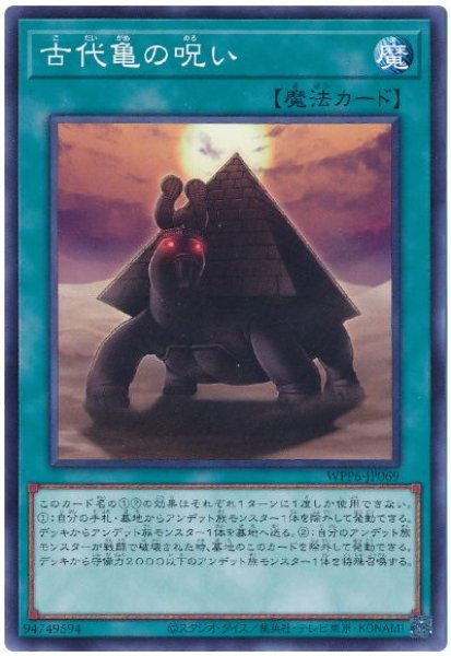 画像1: 古代亀の呪い【ノー】 (1)