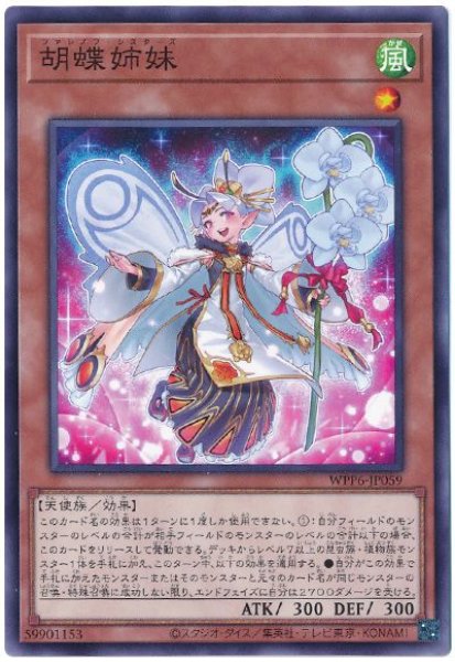 画像1: 胡蝶姉妹【ノー】 (1)