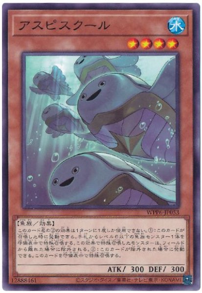 画像1: アスピスクール【ノー】 (1)