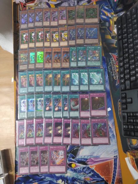 画像2: 販売予定【中古スリーブ付き】 (2)